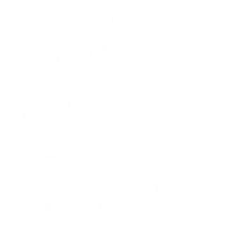 White ControlPlane Logo